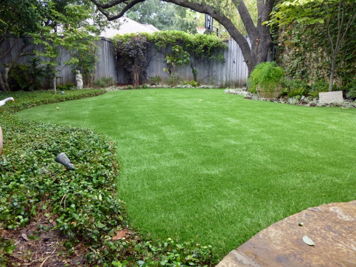 Artificial Grass Searchlight Nevada Landscape