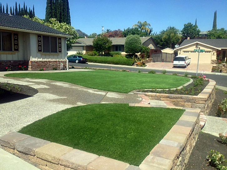 Artificial Grass Searchlight Nevada Landscape