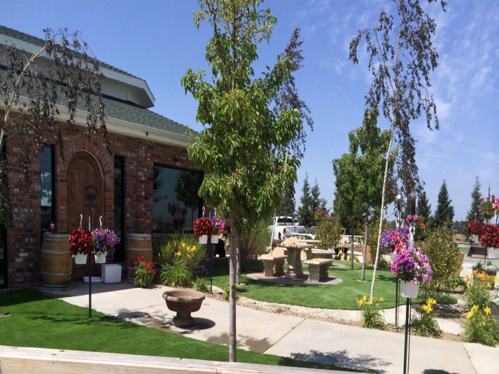 Artificial Grass Searchlight Nevada Lawn