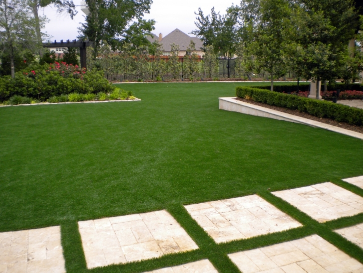 Artificial Grass Spring Valley Nevada Landscape