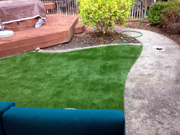 Artificial Grass Spring Valley Nevada Landscape