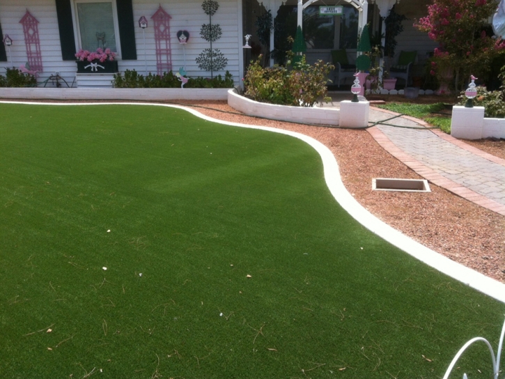 Artificial Grass Sunrise Manor Nevada Landscape