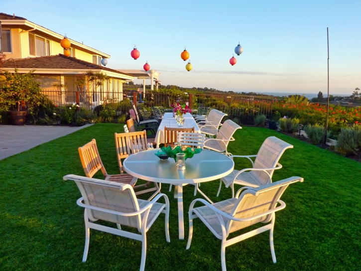 Artificial Grass Sunrise Manor Nevada Landscape
