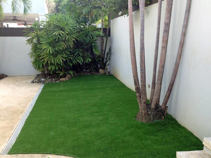 Artificial Grass Sunrise Manor Nevada Landscape