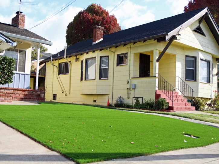 Artificial Grass Sunrise Manor Nevada Landscape