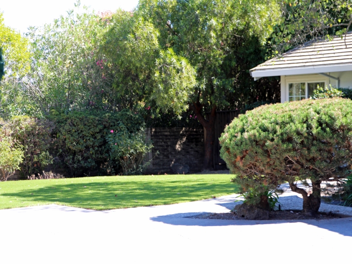 Artificial Grass Whitney Nevada Landscape