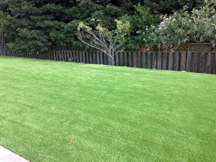 Artificial Grass Winchester Nevada Lawn