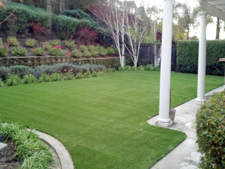Artificial Pet Grass Goodsprings Nevada for Dogs