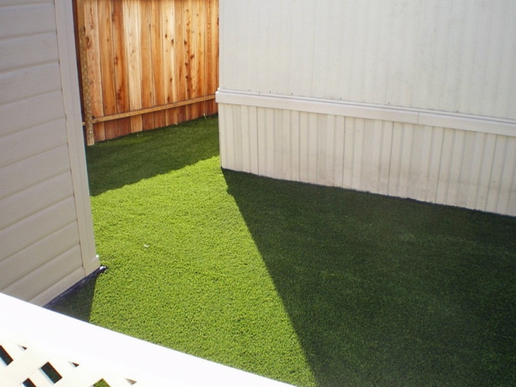 Artificial Pet Grass Spring Valley Nevada for Dogs