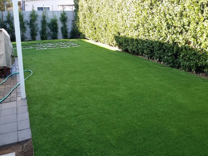 Artificial Pet Turf Summerlin South Nevada for Dogs
