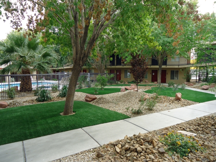 Artificial Turf Enterprise Nevada Landscape