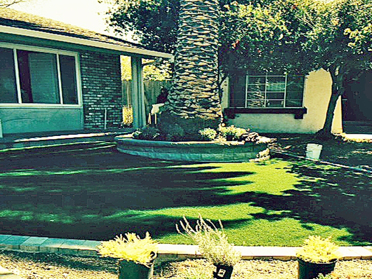Artificial Turf Enterprise Nevada Landscape
