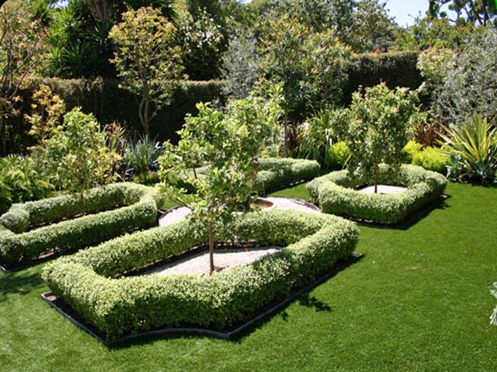 Artificial Turf Enterprise Nevada Lawn
