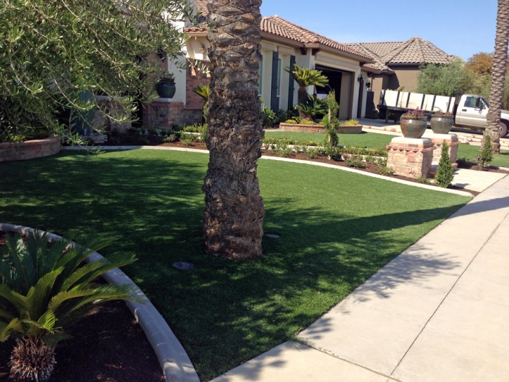 Artificial Turf Enterprise Nevada Lawn