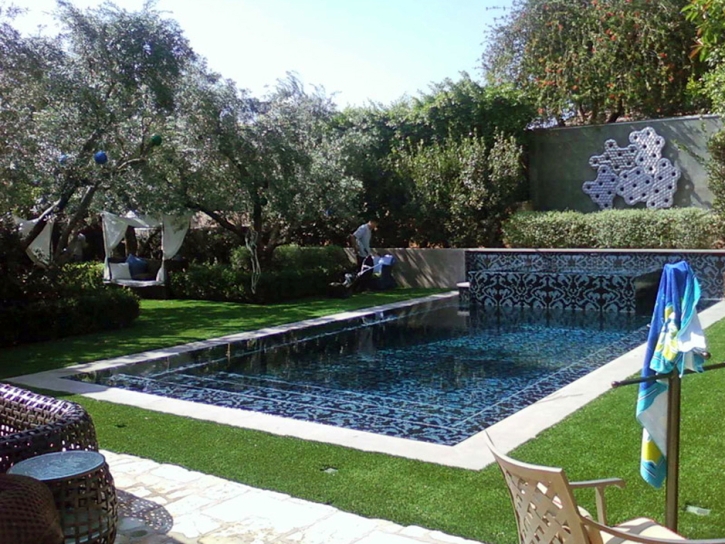 Artificial Turf Goodsprings Nevada Landscape