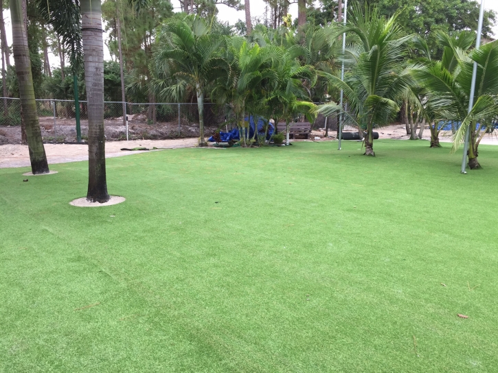Artificial Turf Installation Smith, Nevada Lawn And Landscape, Commercial Landscape