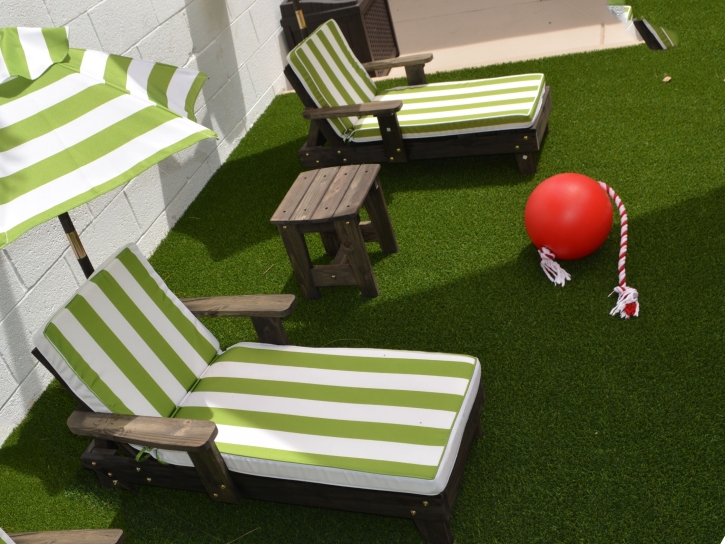 Artificial Turf Installation Ursine, Nevada Landscaping Business, Backyard Landscape Ideas