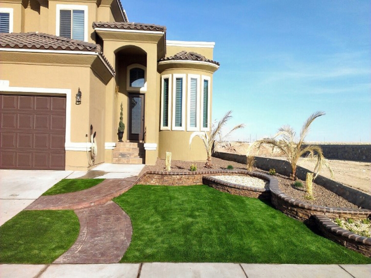 Artificial Turf Mount Charleston Nevada Landscape