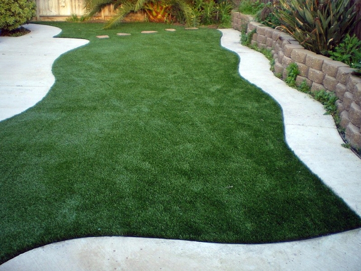 Artificial Turf Nellis Air Force Base Nevada Landscape