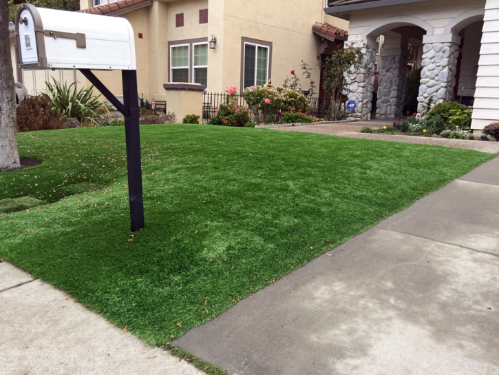 Artificial Turf Nelson Nevada Landscape