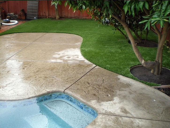 Artificial Turf Pahrump Nevada Landscape