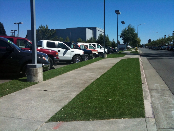 Artificial Turf Pahrump Nevada Lawn