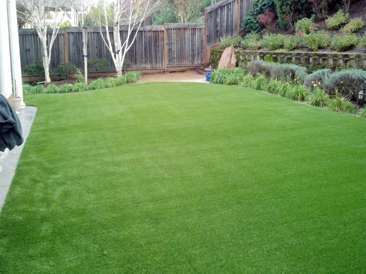 Artificial Turf Paradise Nevada Lawn
