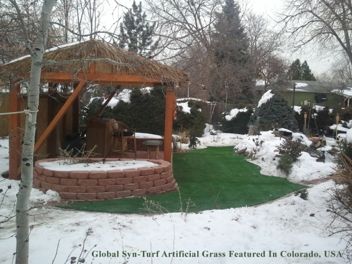 Artificial Turf Searchlight Nevada Landscape