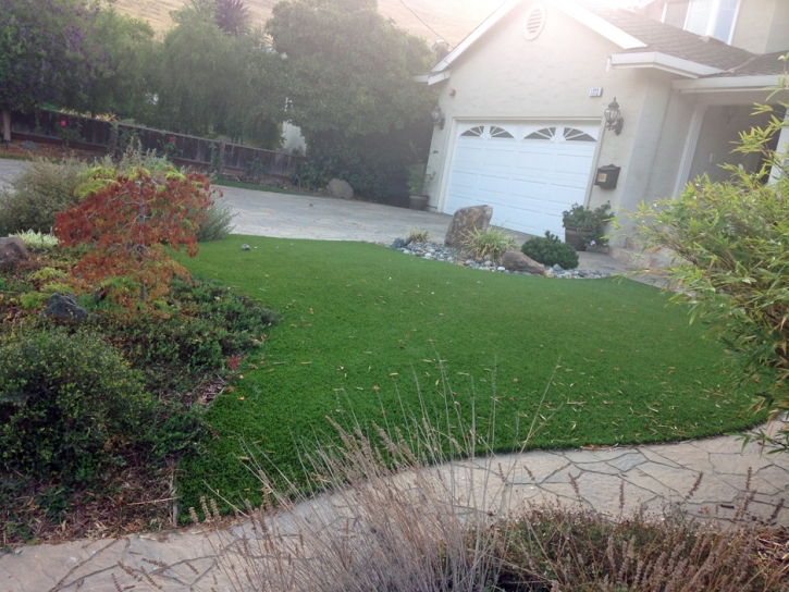 Artificial Turf Searchlight Nevada Landscape