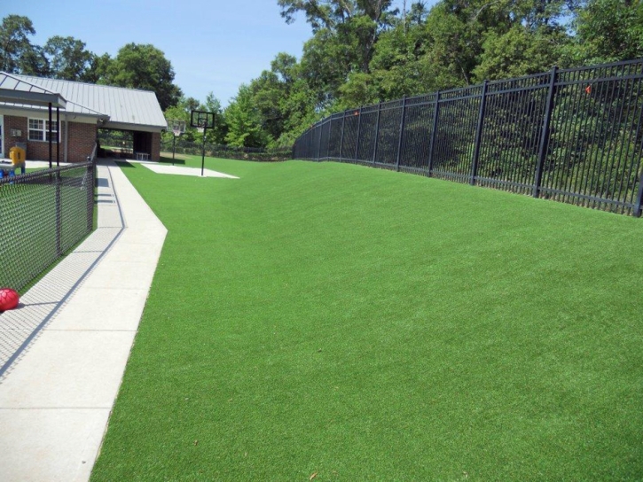 Artificial Turf Searchlight Nevada Lawn