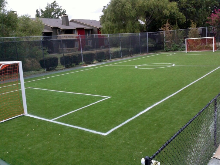 Artificial Turf Sports Fields Moapa Town Nevada