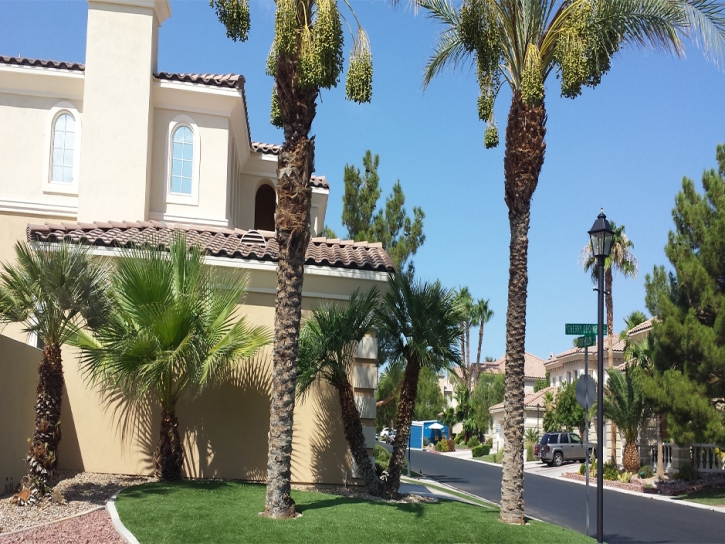 Artificial Turf Spring Valley Nevada Lawn