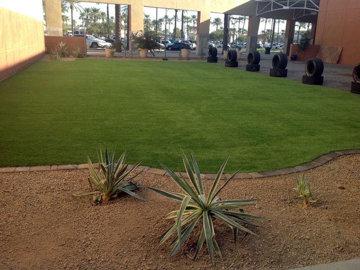 Artificial Turf Spring Valley Nevada Lawn