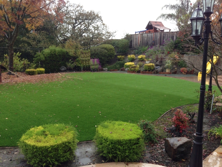 Artificial Turf Spring Valley Nevada Landscape