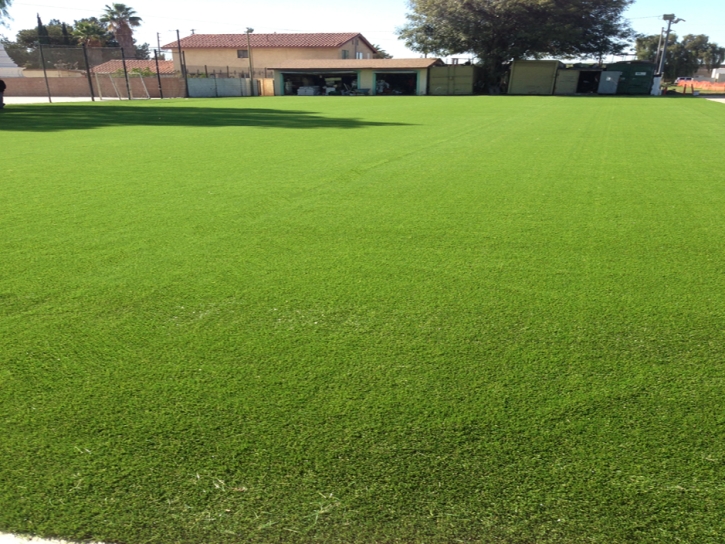 Artificial Turf Stadium Paradise Nevada