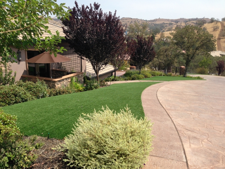 Artificial Turf Sunrise Manor Nevada Lawn
