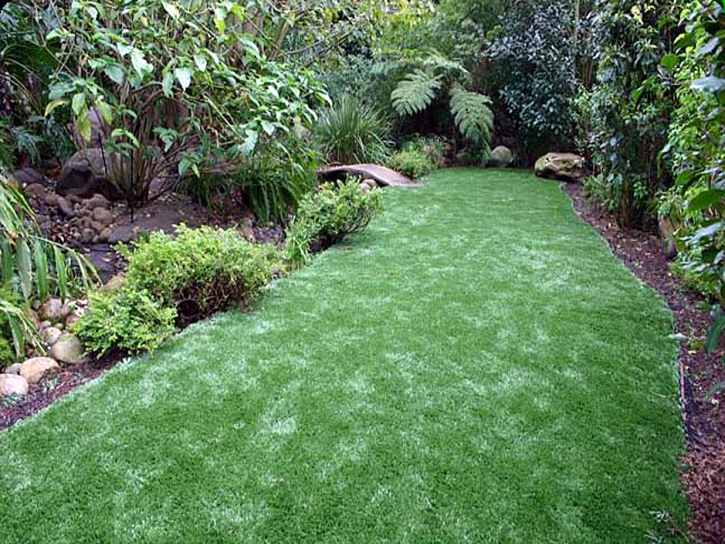 Artificial Turf Sunrise Manor Nevada Lawn