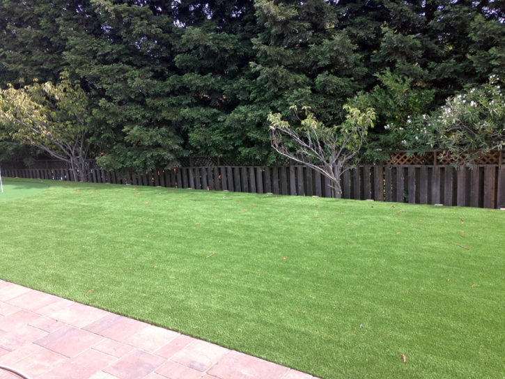 Artificial Turf Sunrise Manor Nevada Landscape