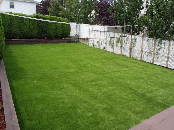 Artificial Turf Sunrise Manor Nevada Landscape