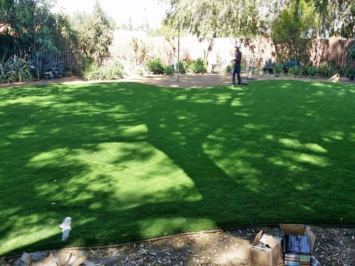 Artificial Turf Whitney Nevada Landscape