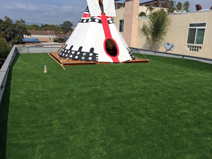 Artificial Turf Winchester Nevada Landscape