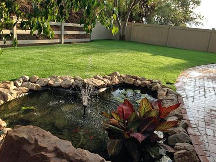Artificial Turf Winchester Nevada Landscape