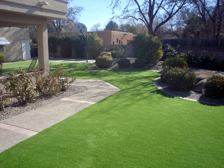 Fake Grass Boulder City Nevada Lawn
