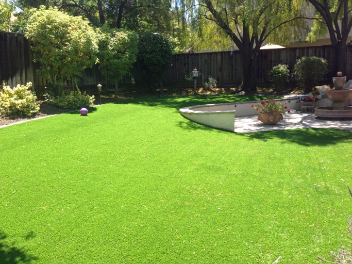 Fake Grass Boulder City Nevada Landscape