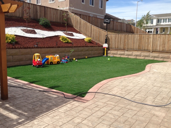 Fake Grass Dyer, Nevada Playground Safety, Backyard Designs