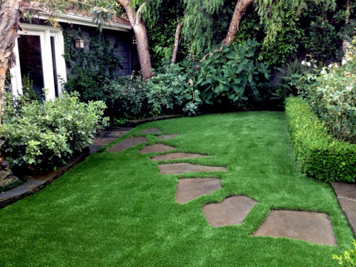 Fake Grass Enterprise Nevada Landscape