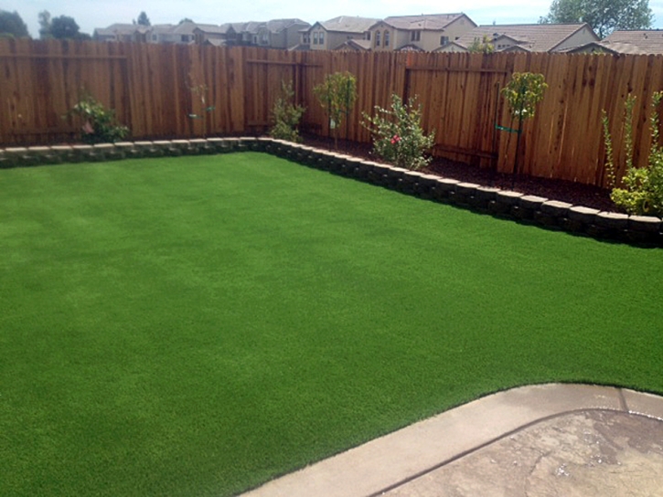 Fake Grass Enterprise Nevada Lawn