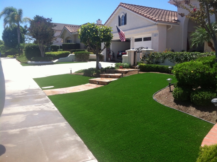Fake Grass Goodsprings Nevada Lawn