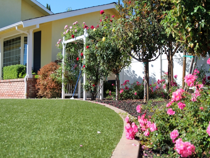 Fake Grass Goodsprings Nevada Lawn