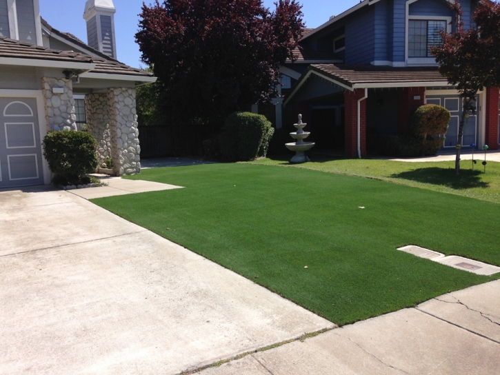 Fake Grass Henderson Nevada Landscape